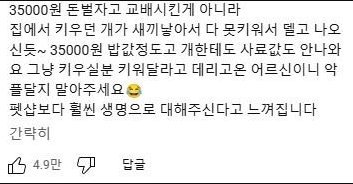 3만5천원짜리 개.mp4