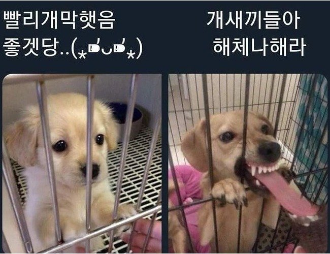 펌) 우리 여팀장님 젊고 나이스한데