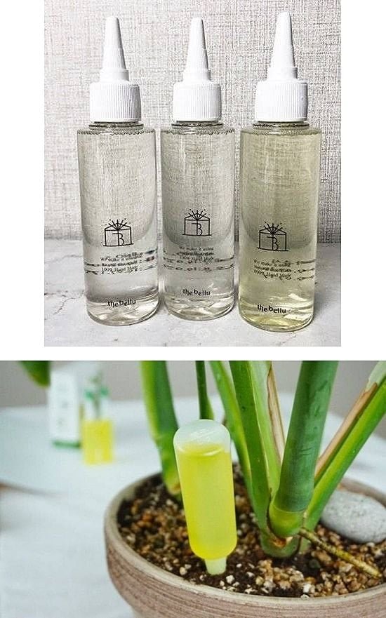 이사님 난초에 디퓨저 부어버린 신입사원