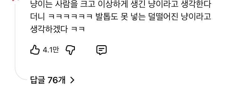 진짜로 집사를 가르치는 냥이