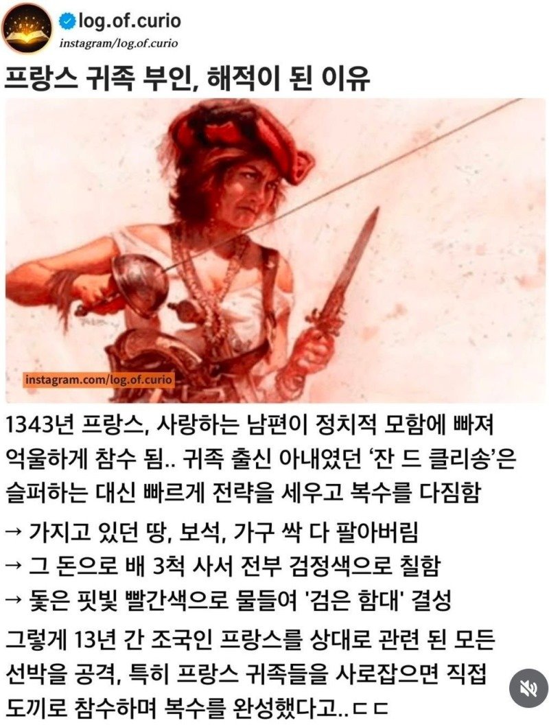 남편을 위해 해적이 된 아내.jpg