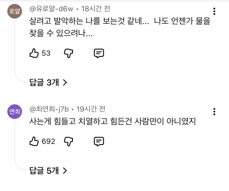 살기 위해 사막을 기어서 횡단하는 메기