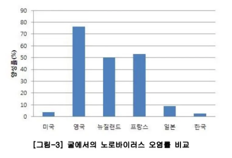 노로 바이러스 의외의 사실