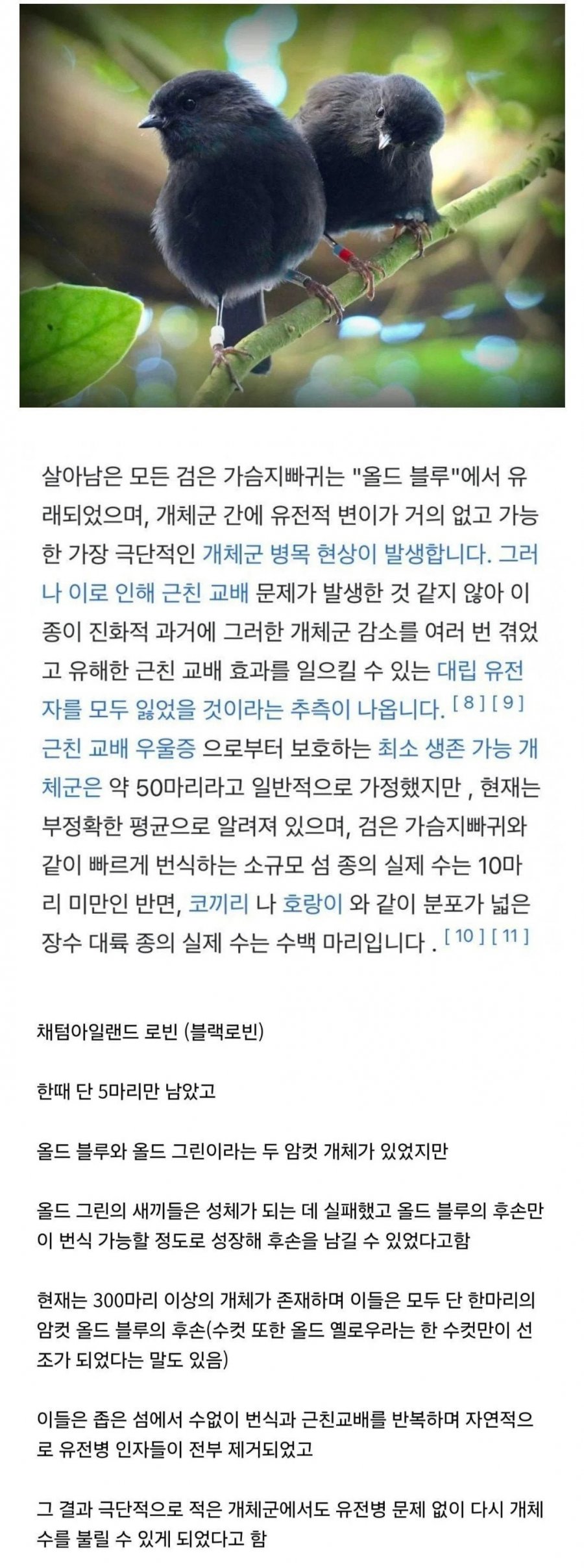 무제한 근친 교배의 결과물