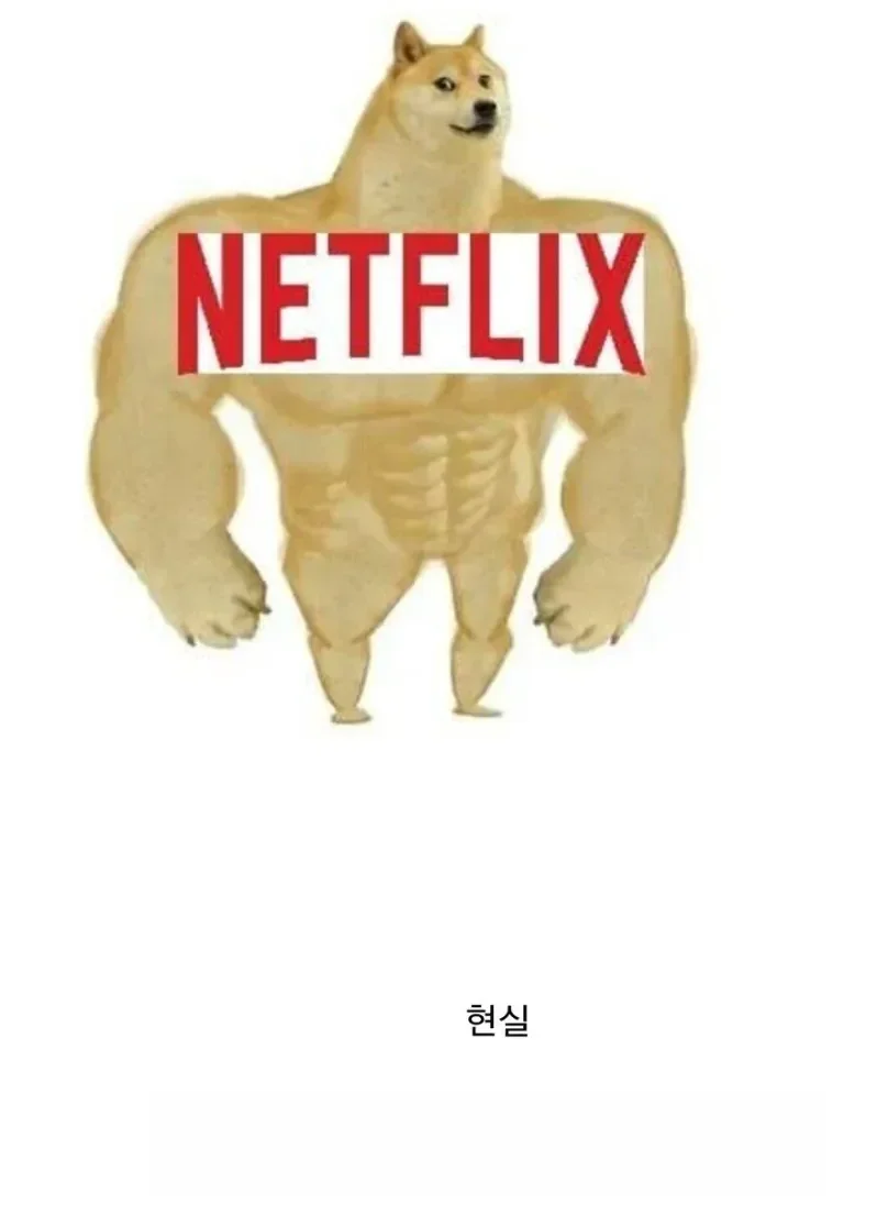 4년전 예상했던 OTT 판도