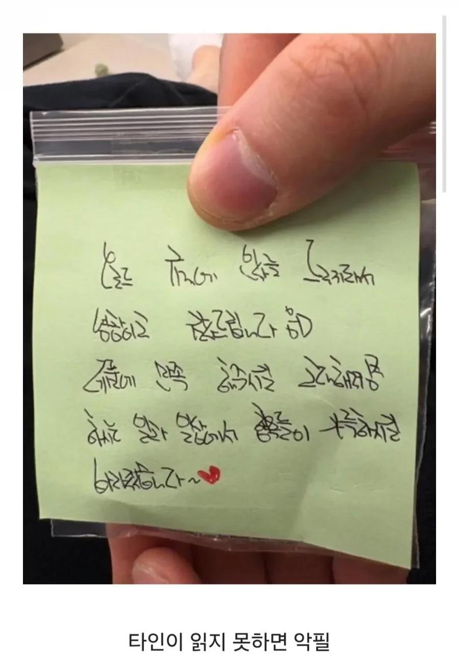 정성을 다한 악필