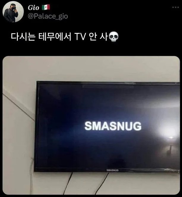 테무에서 산  TV