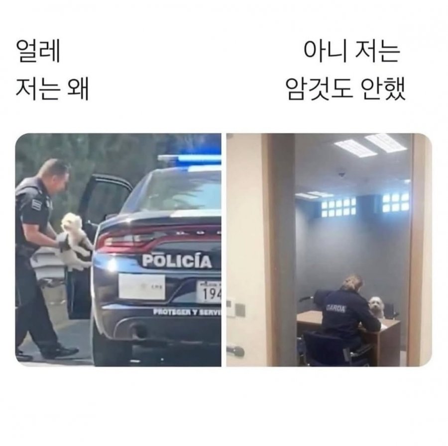 아무것도 안했는데