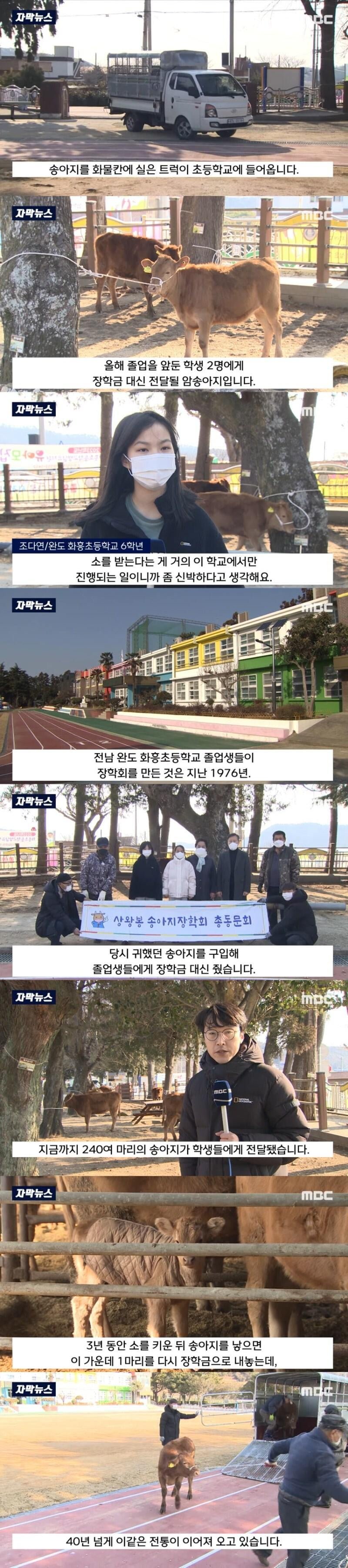 어느 시골 초등학교의 이색적인 졸업 선물