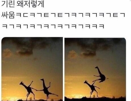 합성이겟지?ㅋㅋ