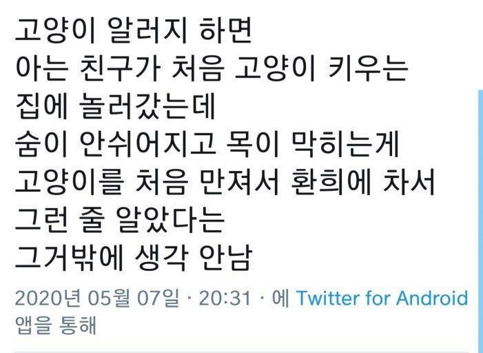 고양이 알러지하면 생각나는 친구