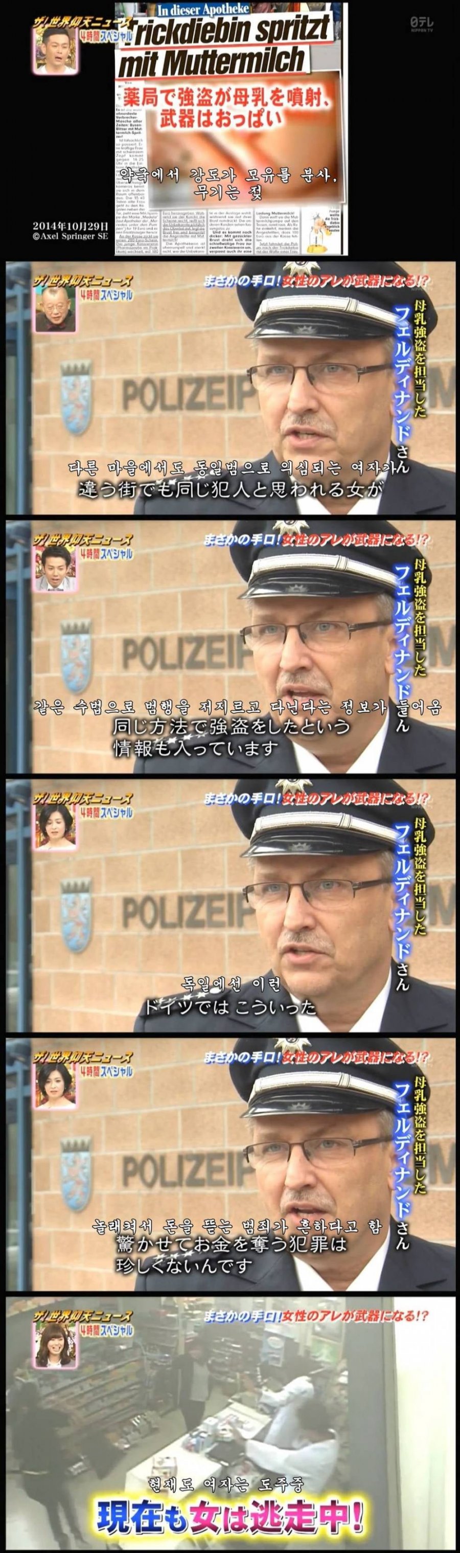 독일에서 벌어진 모유 강도 사건