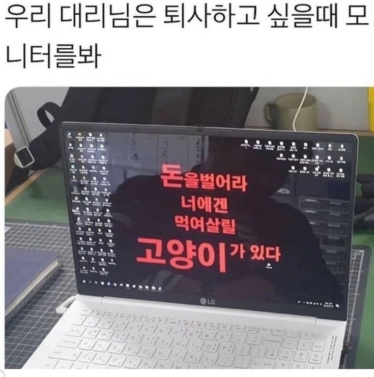 퇴사 하고 싶을때 모니터를 보는 직장인