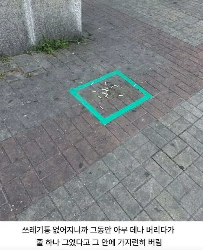 쓰레기통 없어지자 흡연자들이 한것