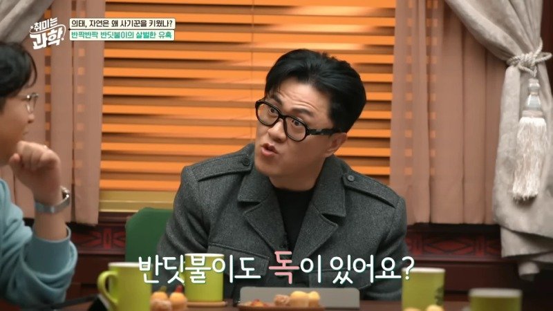 암컷 흉내로 수컷을 유인하는 종족