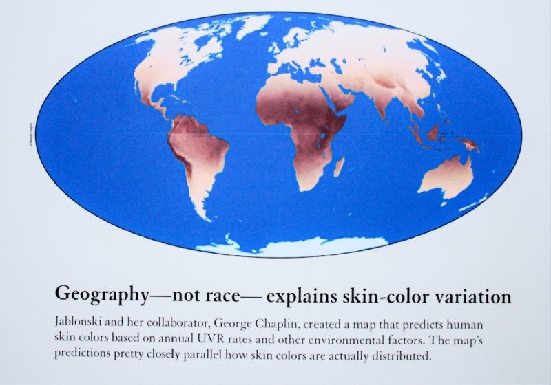 아시아 대륙에서 한국사람 피부가 하얀 이유