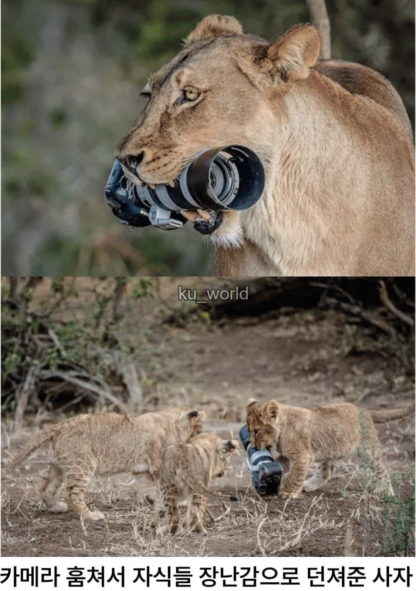 싱글벙글 동물다큐 촬영현장