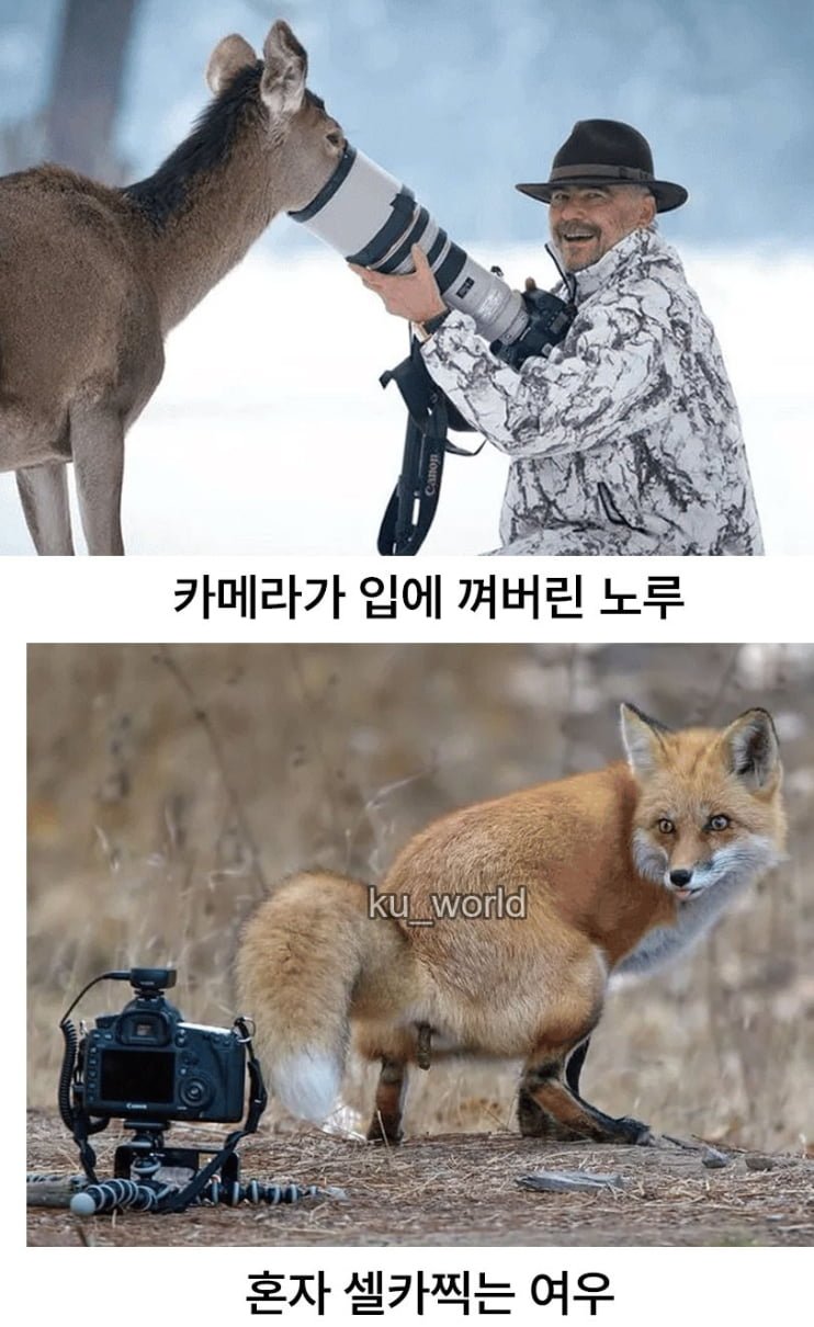 싱글벙글 동물다큐 촬영현장