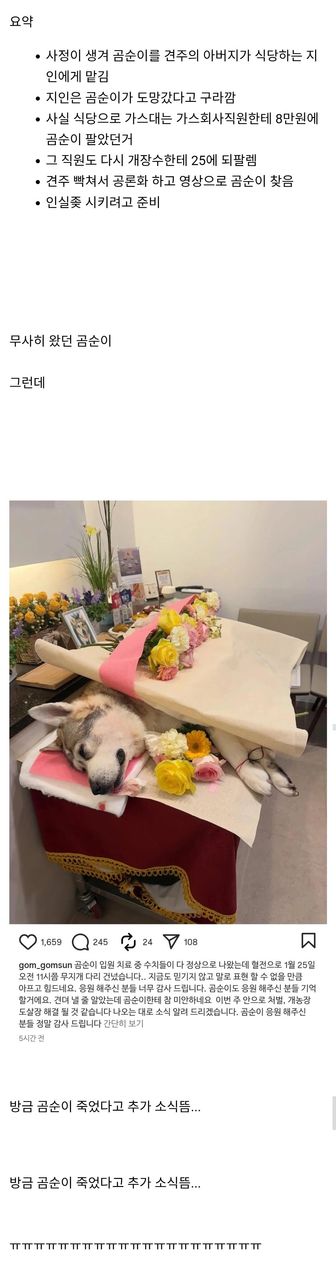 주인 모르게 팔려갔다가 돌아온 강아지 곰순이