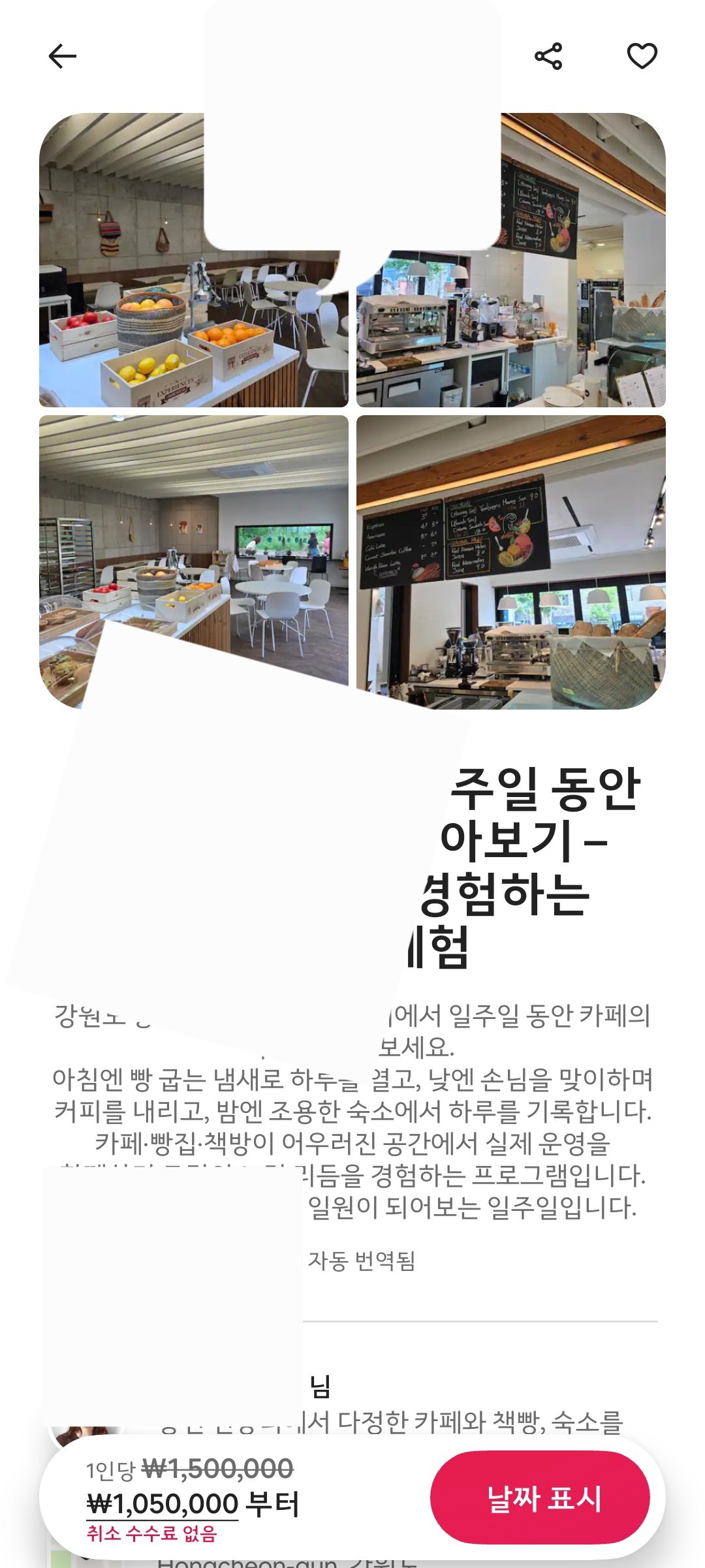 홍천 1주일 카페 사장 체험