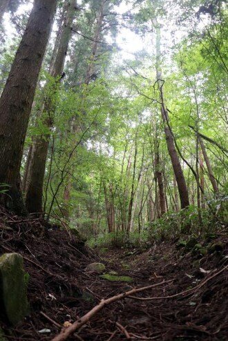 일본의 한 초등학교의 가을 소풍 대참사.jpg