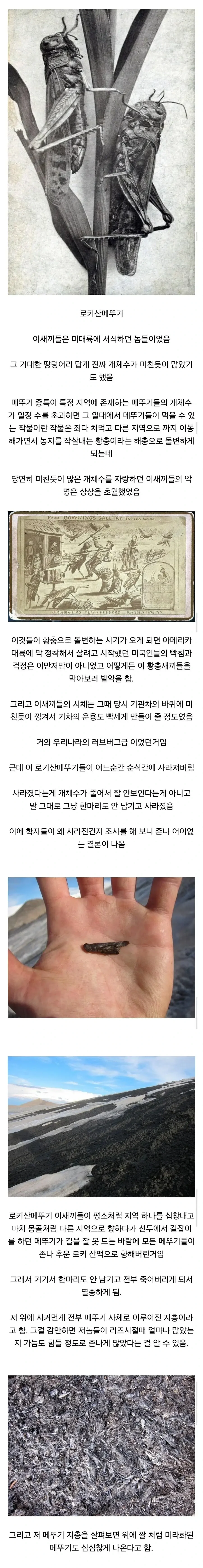 멸종 원인이 가장 골때리는 곤충 원탑