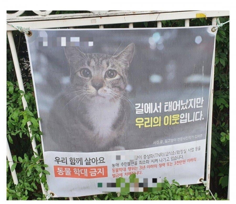 살인미수로 12년형 받은 캣맘