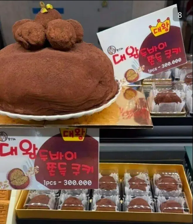 두바이에 미친 대한민국 근황