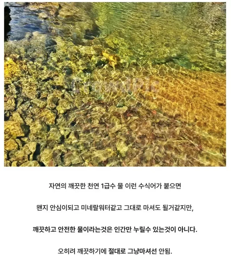 흔히 하는 1급수에 대한 착각.jpg