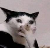 중국집에서 모르는 애 생일 파티 시켜줌