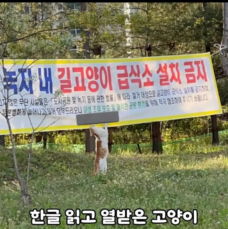 한글읽을줄아는게 분명한 녀석