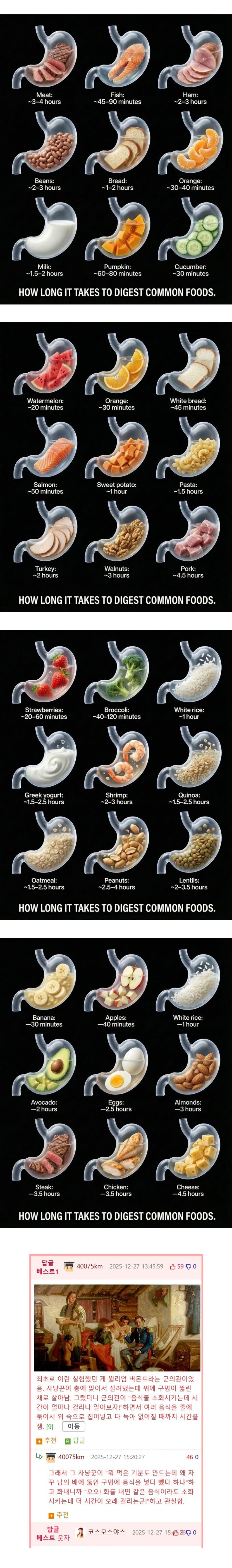 음식별 평균 소화시간