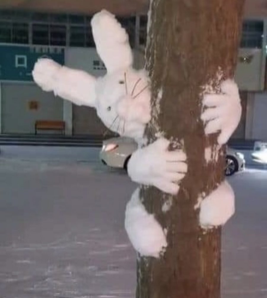 요즘 눈사람 트렌드