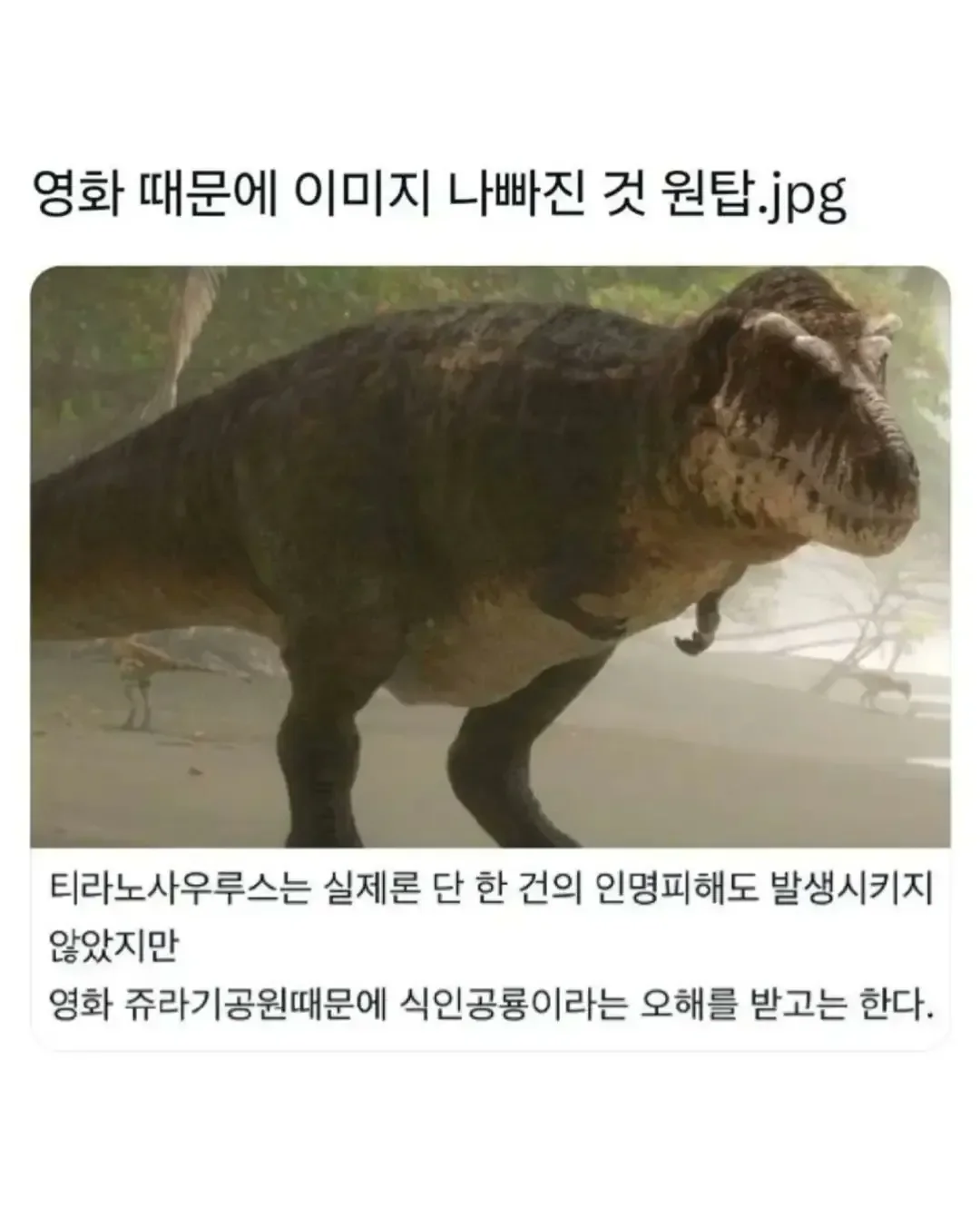 영화 때문에 이미지 나빠진 것 원탑