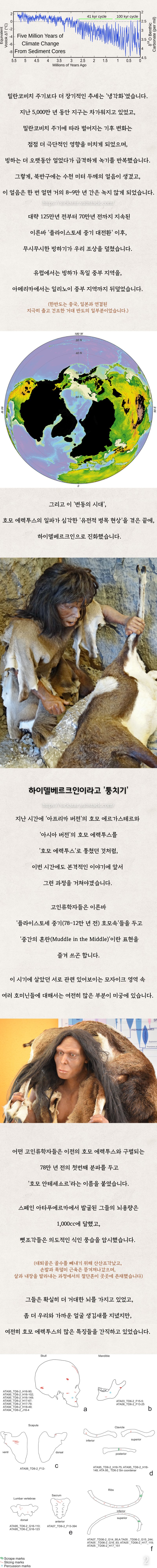 인류7) 옛날 사람들은 어떻게 그렇게 예쁜 석기를 만든걸까?