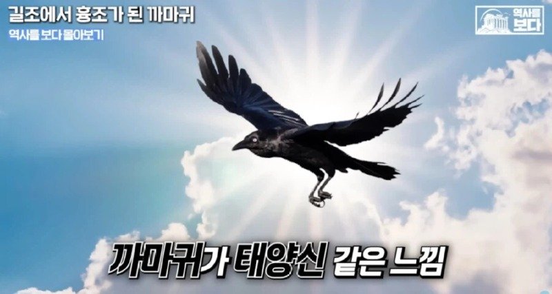 삼족오의 충격적 정체.JPG