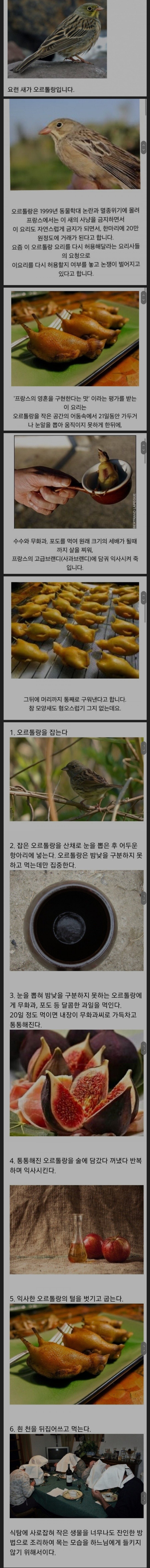 프랑스 식용이 금지된 악마의 요리