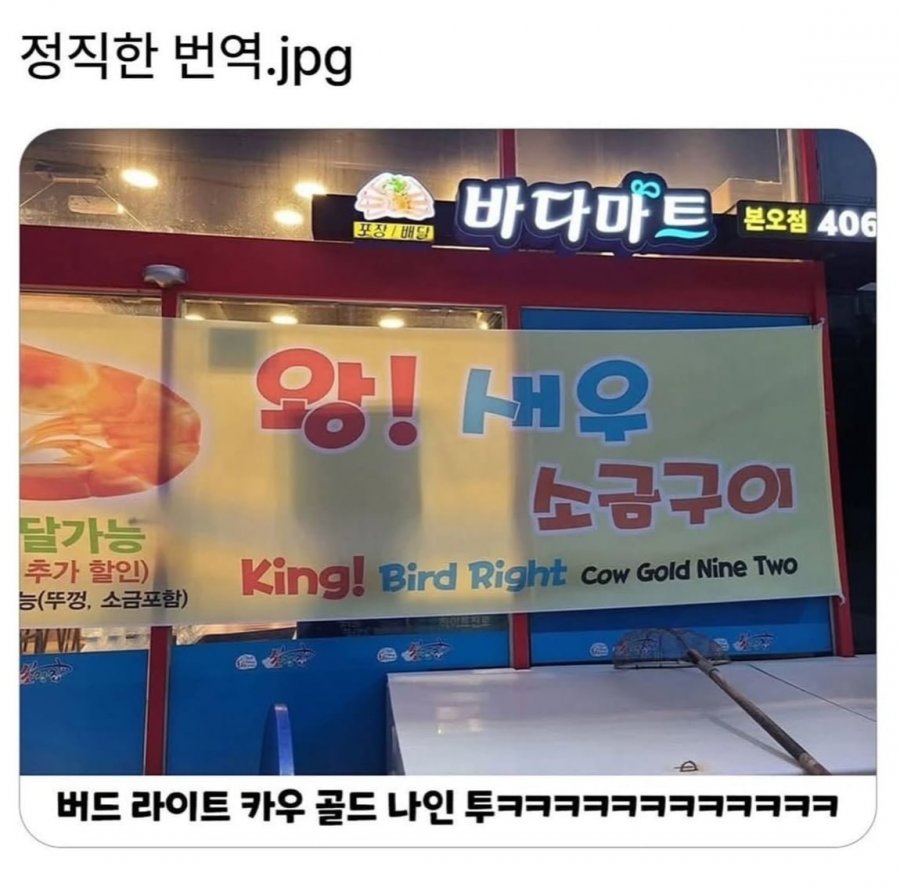 정직한 번역