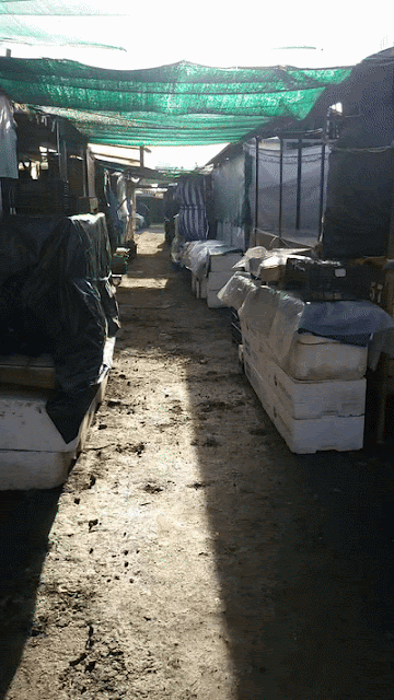 동유럽에 숨겨진 작은 나라, 몰도바 여행기