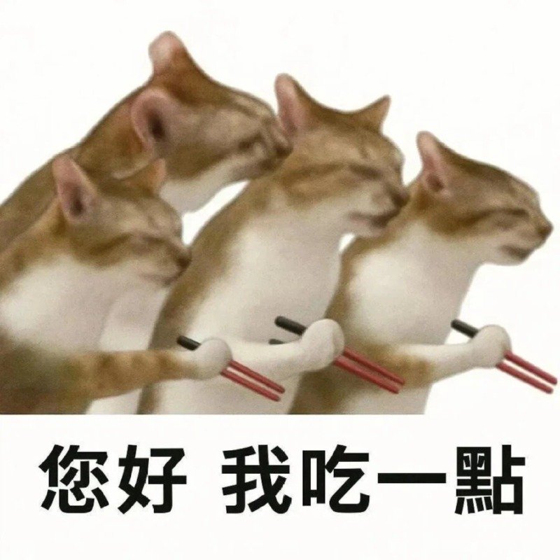 대만 여행 한다고 하면 댓글 달아주는 대만 사람들