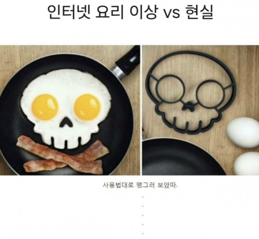 인터넷 요리 이상과 현실