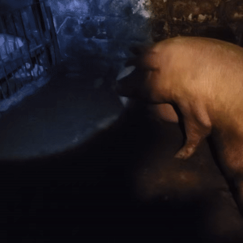 동유럽에 숨겨진 작은 나라, 몰도바 여행기