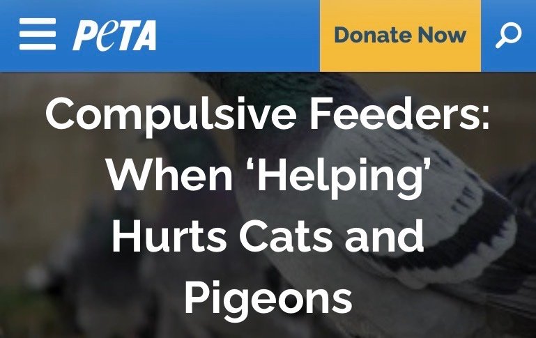 아름다운 공존과 돌봄, 그리고 그다지 아름답지 못한..