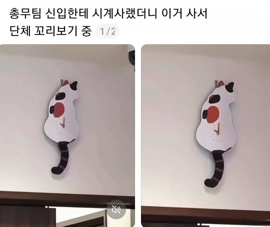 총무팀 신입한테 시계사랬더니.jpg