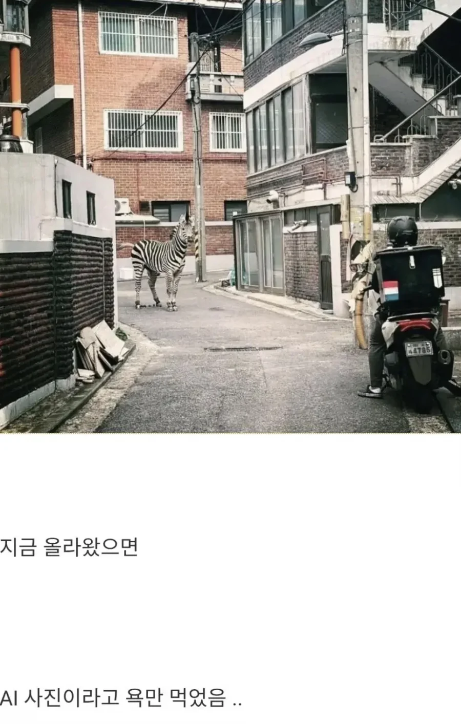 AI 시대 이전에 찍혀서 다행인 사진