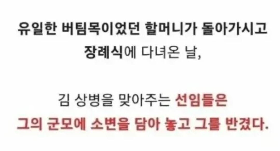 개병대로 인식하게 된 사건