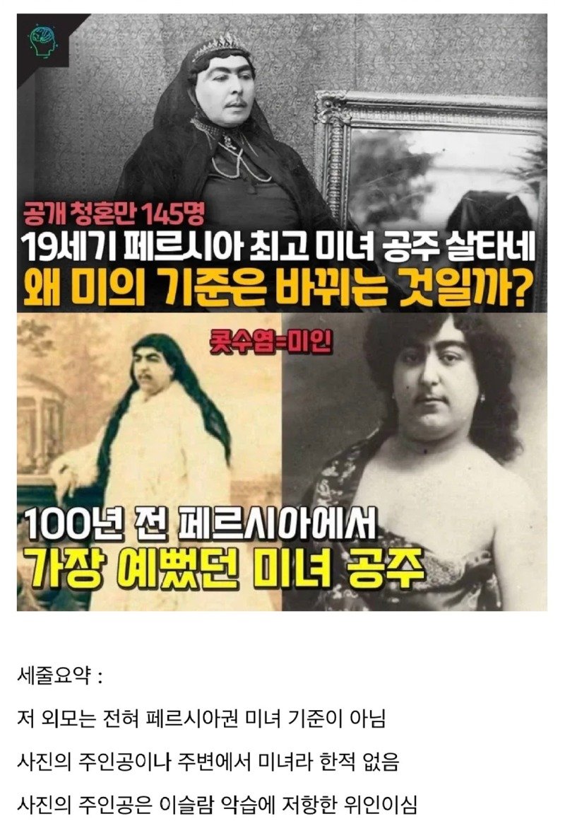 “페르시아 최고 미인 공주”주작 쇼츠들에 대한 팩트체크.jpg