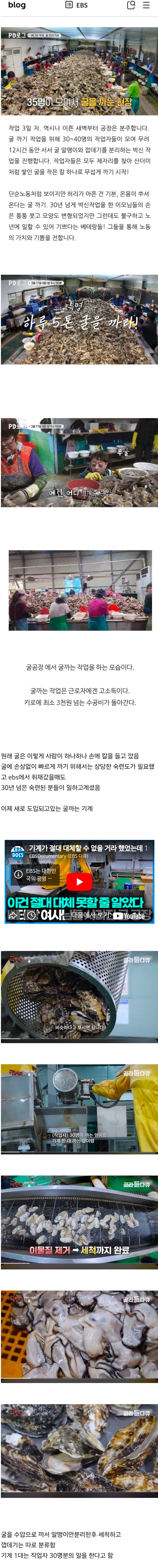 기계가 도입되고있는 굴 공장 근황