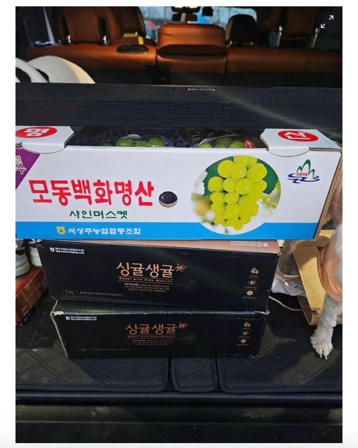 돈벌고 많이썼다고 자랑하는 하이닉스 직원