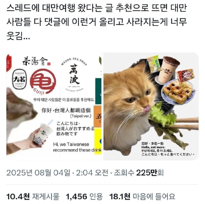대만 여행 한다고 하면 댓글 달아주는 대만 사람들